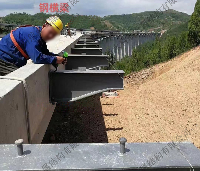 ��·�ֺ���