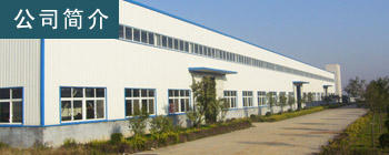 公司简介